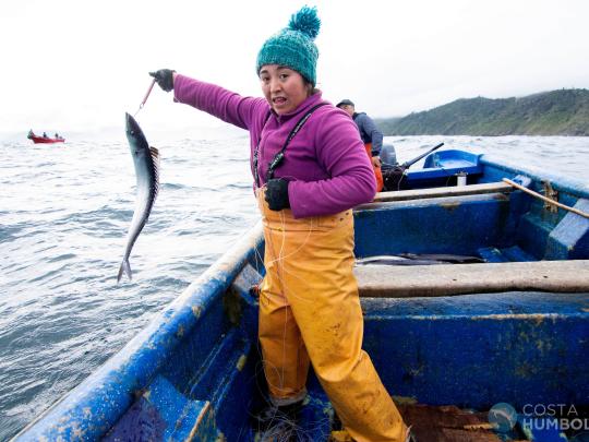 Woman fisher holds a fish on a line on a boat in northern Peru