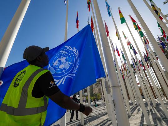 Flags at UN conference.