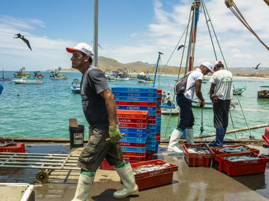 Fishers in Peru walk the docks