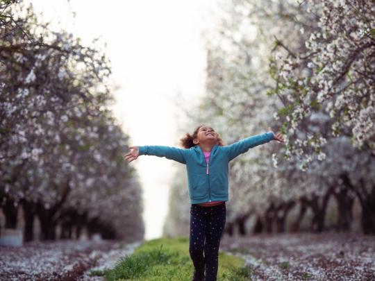 Excited 5 years old little girl walking with wide open raised arms among of almond trees field