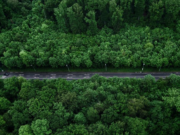 Environmental Defense Fund Environmental Defense Fund