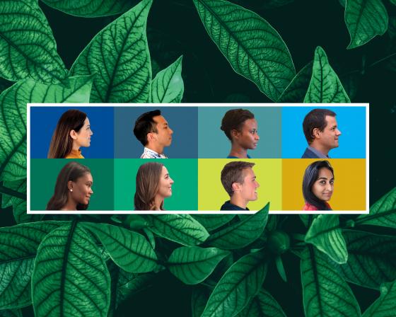 Composite image of 8 young climate professionals