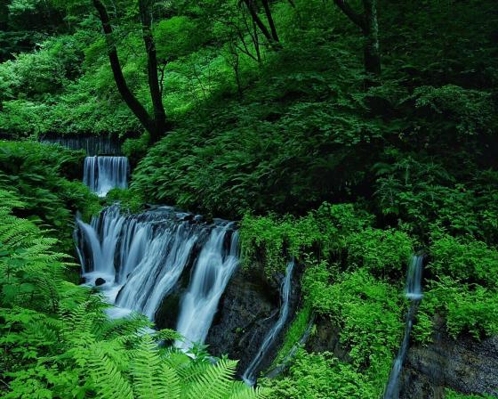 Beautiful waterfall in a lush, green forest.