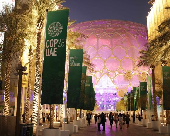 Participants attend day four at night of the UNFCCC COP28 Climate Conference at Expo City Dubai