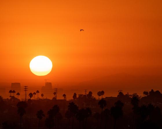 Sun rising over a city, with the sky an orange hue.