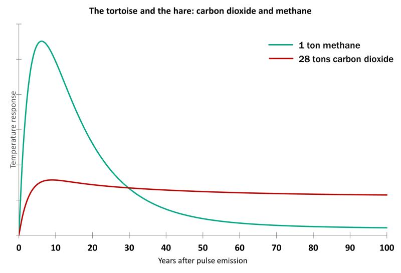 Graph showing methane's climate impact over 100 years with a high, early peak, versus carbon dioxide's low but steady plateau 