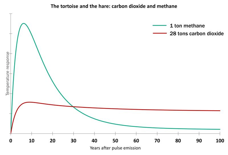 Graph showing methane's climate impact over 100 years with a high, early peak, versus carbon dioxide's low but steady plateau