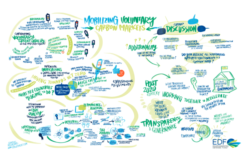 Mobilizing volutary carbon markets infographic