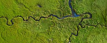 Bird's-eye view of a coastal marsh in Oregon