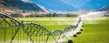 Wheeled irrigation system in farm field