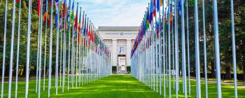 Flags of many countries in front of a United Nations building.