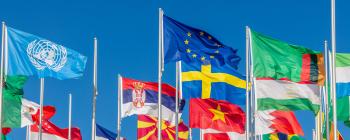 Many world flags, including the U.N. and E.U. flags.