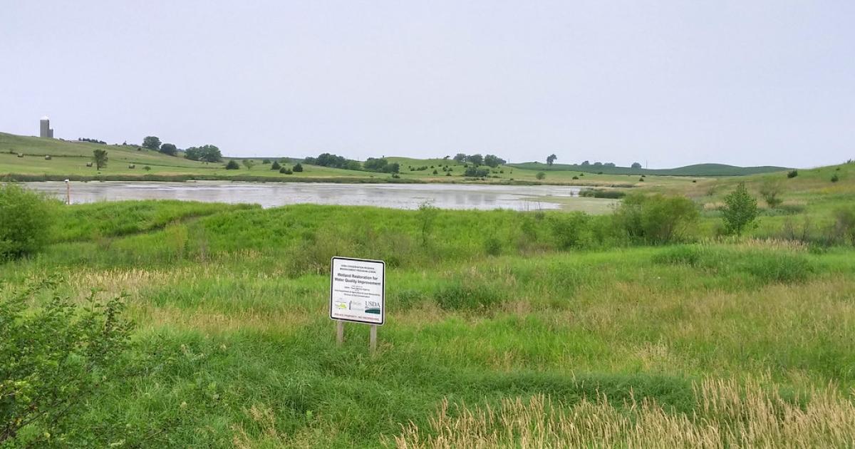 Financing natural infrastructure solutions in the Mississippi River