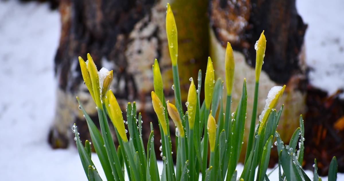 Why winter is getting warmer and what it means for the future