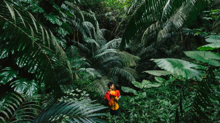 A parent and child walking through a lush green jungle.