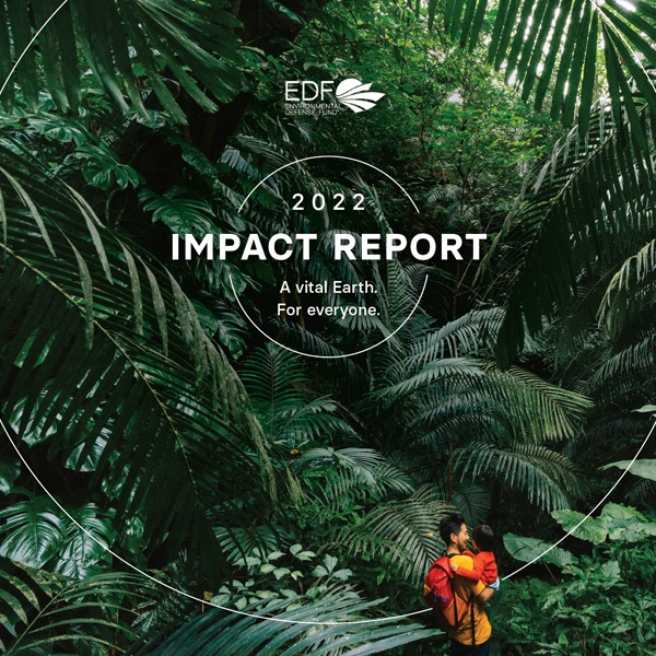 Cover of the 2022 Impact Report