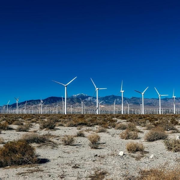 California Wind Farm