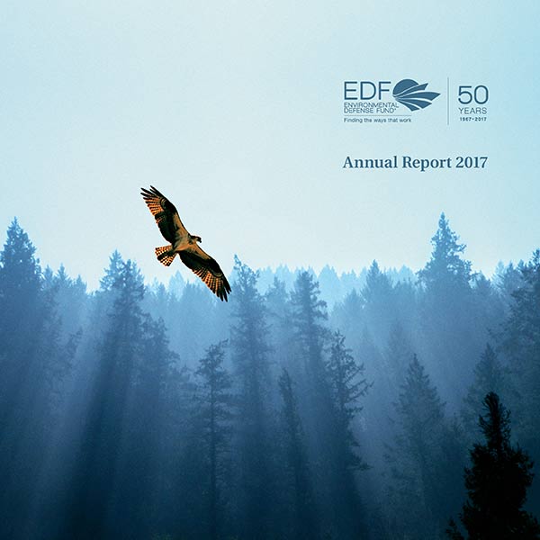 2017 annual report cover