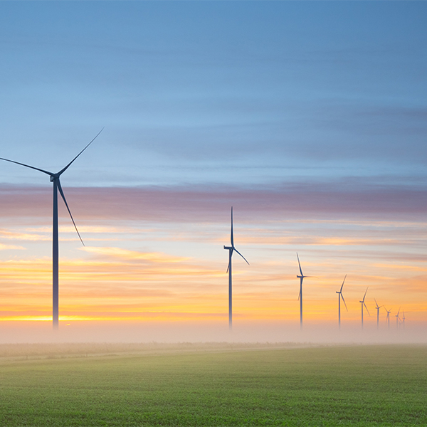 Windmills with sunset in the background