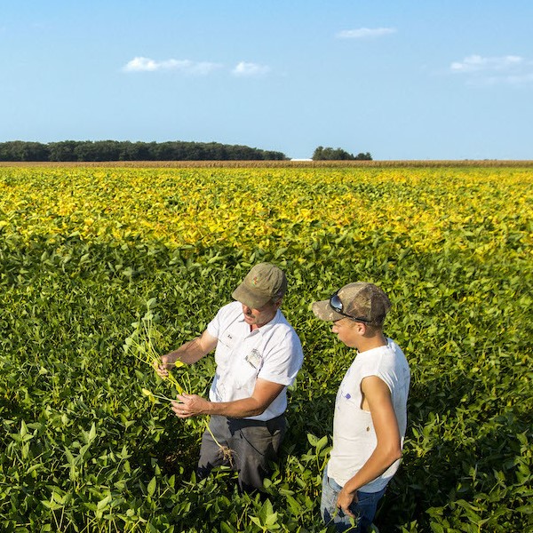 A farmer and a farmer adviser stand together in a soybean field looking at a soybean plant that the adviser is holding. Both men are white and wearing khaki green baseball hats. The adviser is wearing a short sleeve, white button-down shirt. The farmer is wearing a sleeveless white t-shirt.