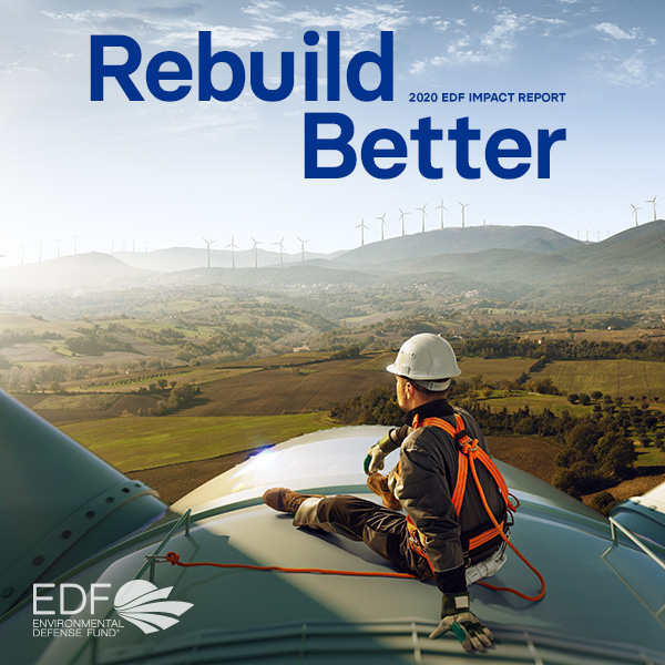 2020 Impact Report Cover