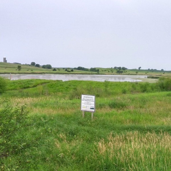 open field