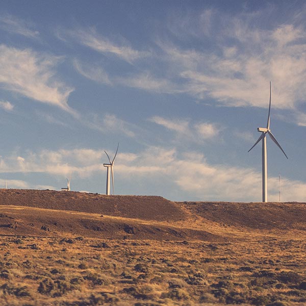 Texas wind turbines