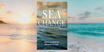 Sea Change book cover on a background showing a peaceful coastline.